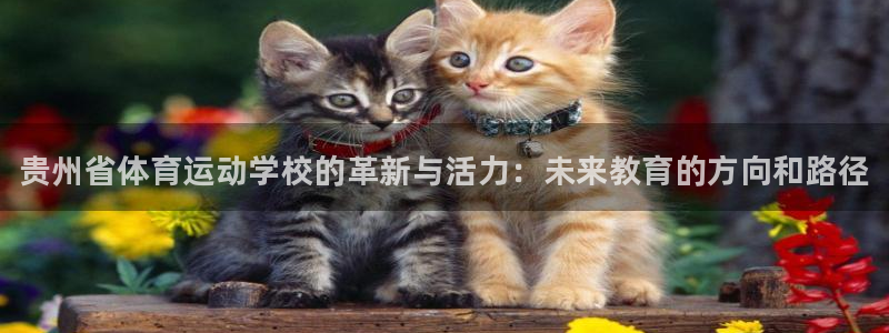 J9官网下载平台注册流程视频：贵州省体育运动学校的革新与活力