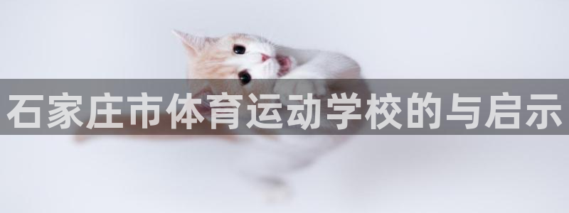 J9官网下载平台注册要钱吗：石家庄市体育运动学校的与启示