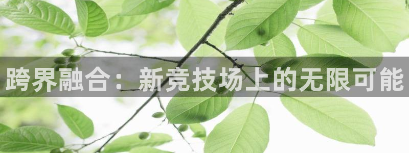 J9官方正版app集团：跨界融合：新竞技场上的无限可