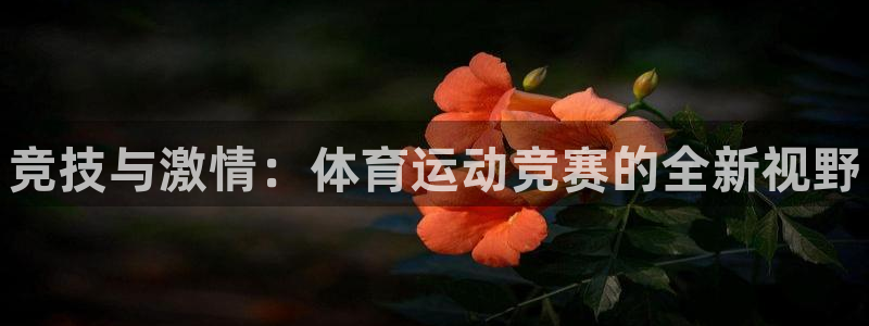 J9官方正版app科技：竞技与激情：体育运动竞赛的全