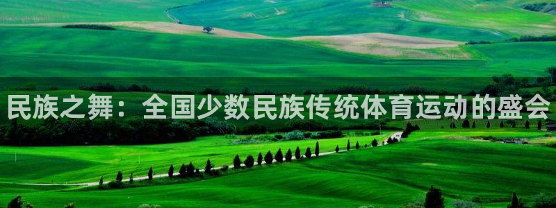 J9官方正版app娱乐：民族之舞：全国少数民族传统体