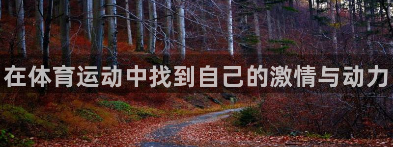 J9官网下载平台注册要钱吗安全吗：在体育运动中找到自