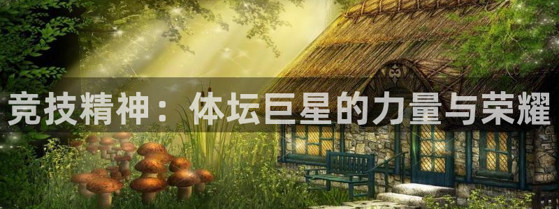 J9官方正版app娱乐40996：竞技精神：体坛巨星的力量与