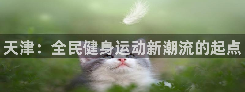 J9官网下载招商电话是多少号码