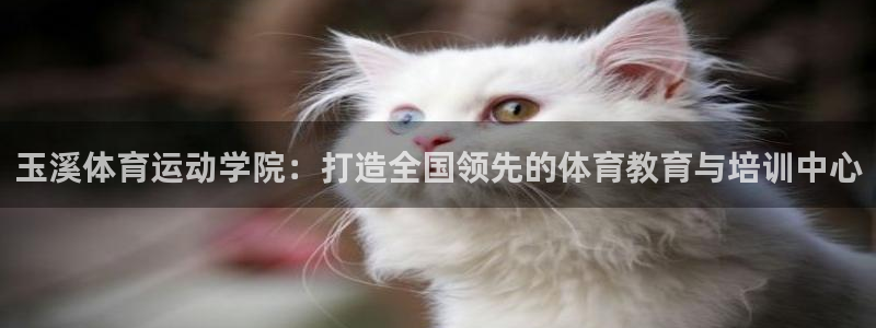 J9官方正版app代理：玉溪体育运动学院：打造全国领先的体育