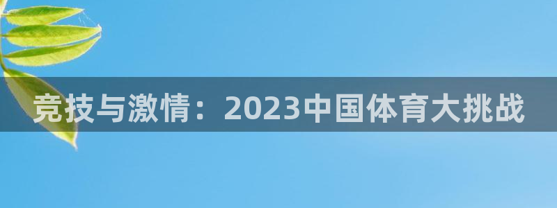 J9官方正版app集团：竞技与激情：2023中国体育