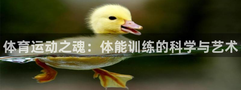 J9官网下载招商电话号码是多少啊：体育运动之魂：体能训练的科