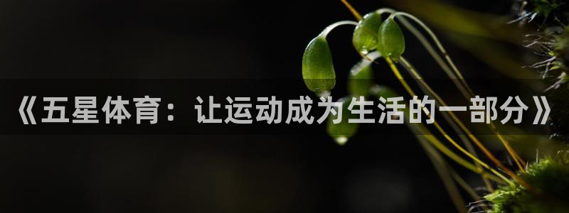 九游会手机登入：《五星体育：让运动成为生活的一部分》