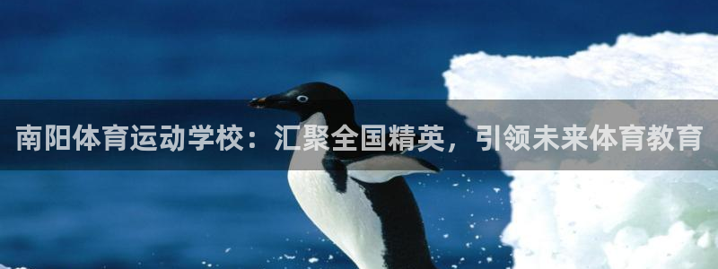  九游app文件夹是哪个：南阳体育运动学校：汇聚全国精英，引领
