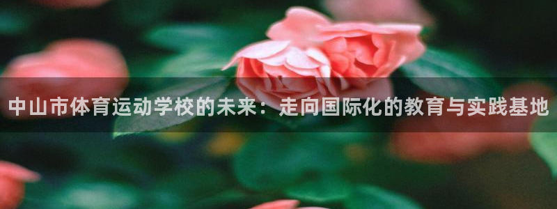 九游三国杀：中山市体育运动学校的未来：走向国际化的教育与实践