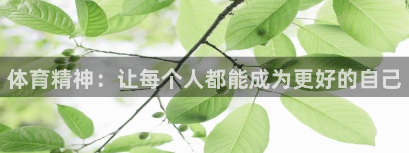  九游会官网网址是多少?：体育精神：让每个人都能成为更好的自己
