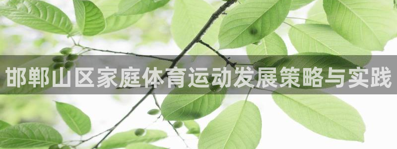  九游app免费下载安装 - 安卓2023：邯郸山区家庭体育运