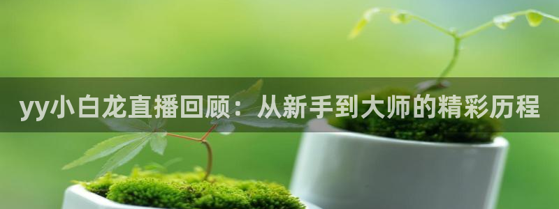 24直播网app：yy小白龙直播回顾：从新手到大师的精彩历程