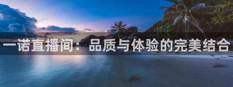 24直播免费足球直播：一诺直播间：品质与体验的完美结合
