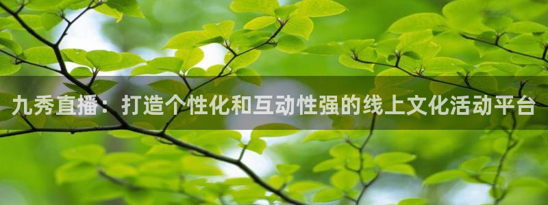 24直播直播：九秀直播：打造个性化和互动性强的线上文化活动平台