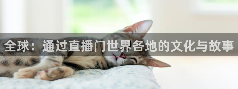 24直播网篮球免费直播：全球：通过直播门世界各地的文化与故事