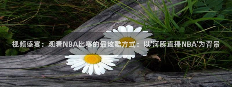 24直播看球：视频盛宴：观看NBA比赛的最炫酷方式：以\'河豚直播NBA\'为背景