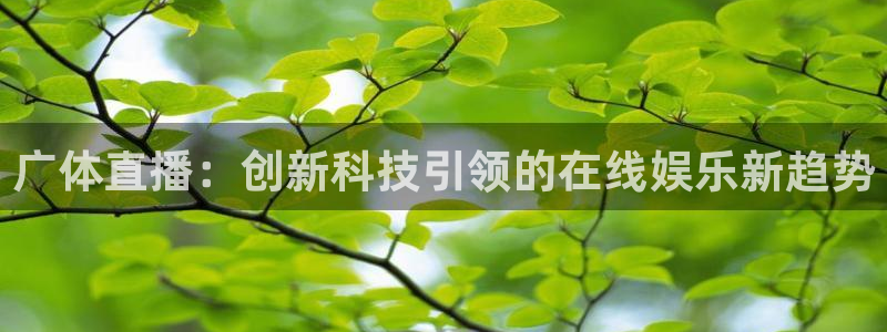 24直播网篮球：广体直播：创新科技引领的在线娱乐新趋势