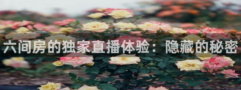 足球24直播：六间房的独家直播体验：隐藏的秘密
